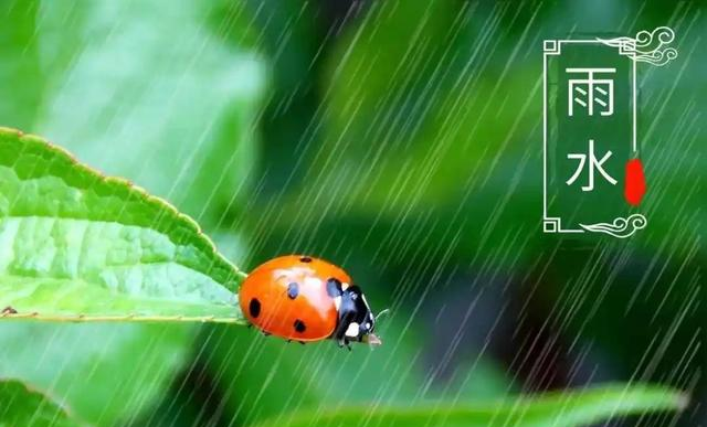 2026年春节放假通知已出，有4个好消息，1个坏消息，2个要注意