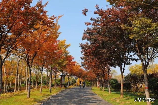 解锁峰峰元气满满的秋天