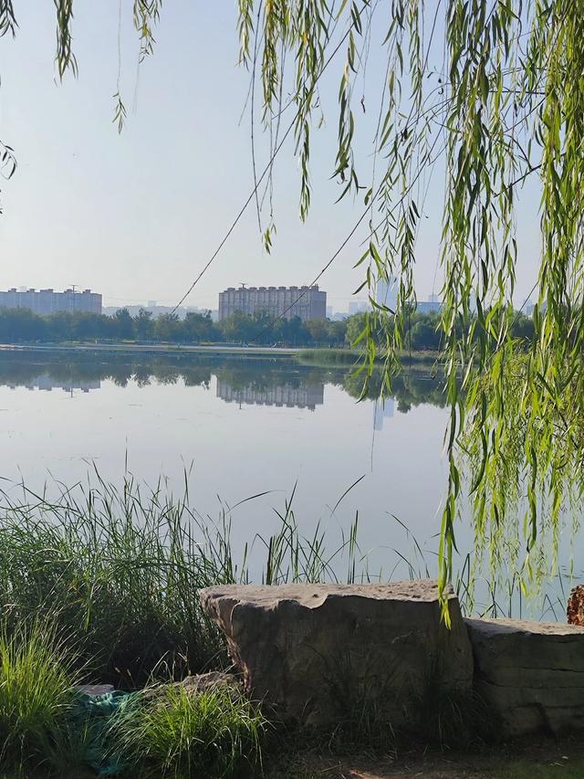 济南华山湖：初秋的诗意绮梦