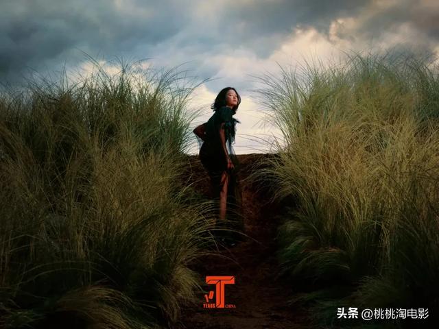 影后辛芷蕾《VOGUE》银十封面大片，达成五大女刊二轮满贯
