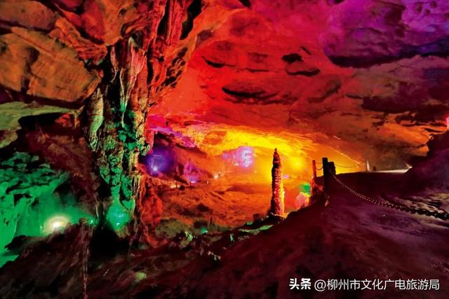 来鹿寨做夏天最爽的“野生代言人”