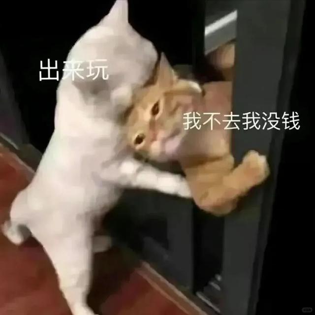 喂喂喂！叫你呢！来签收呗！这波超搞笑GIF的表情包