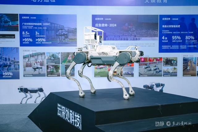 动静影像丨跟动静一起云逛展，打卡2025最酷数博会！