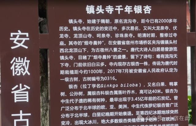 初冬宿州镇头寺,西风调朱墨,尽染深山树!