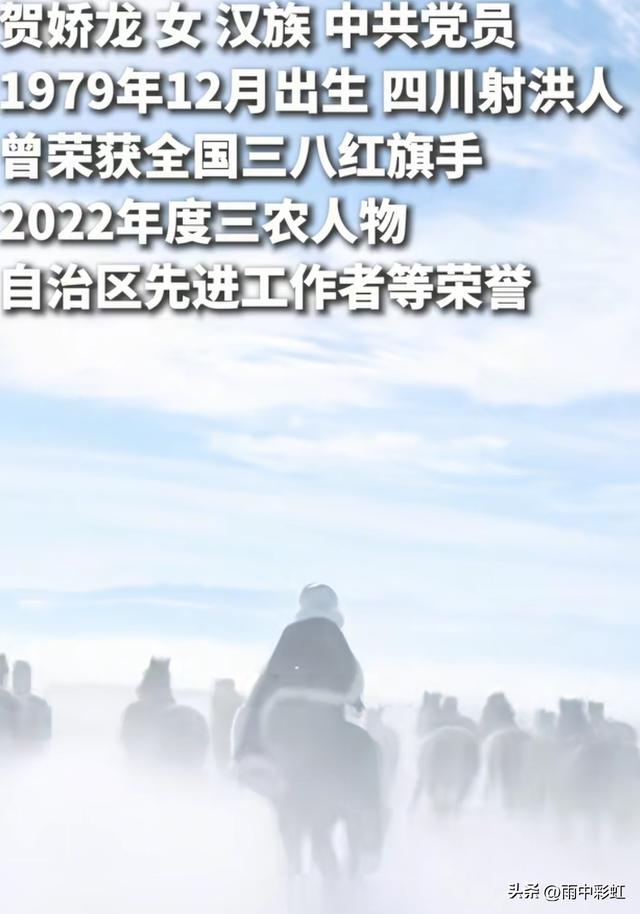 查了贺娇龙的背景有大发现，人民日报下场证实	，她走了父母的老路