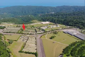 大S安葬第9天，金宝山墓地实景拍摄曝光，玫瑰园的环境很好图片