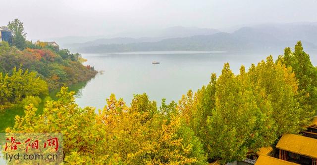 层林尽染黄河岸