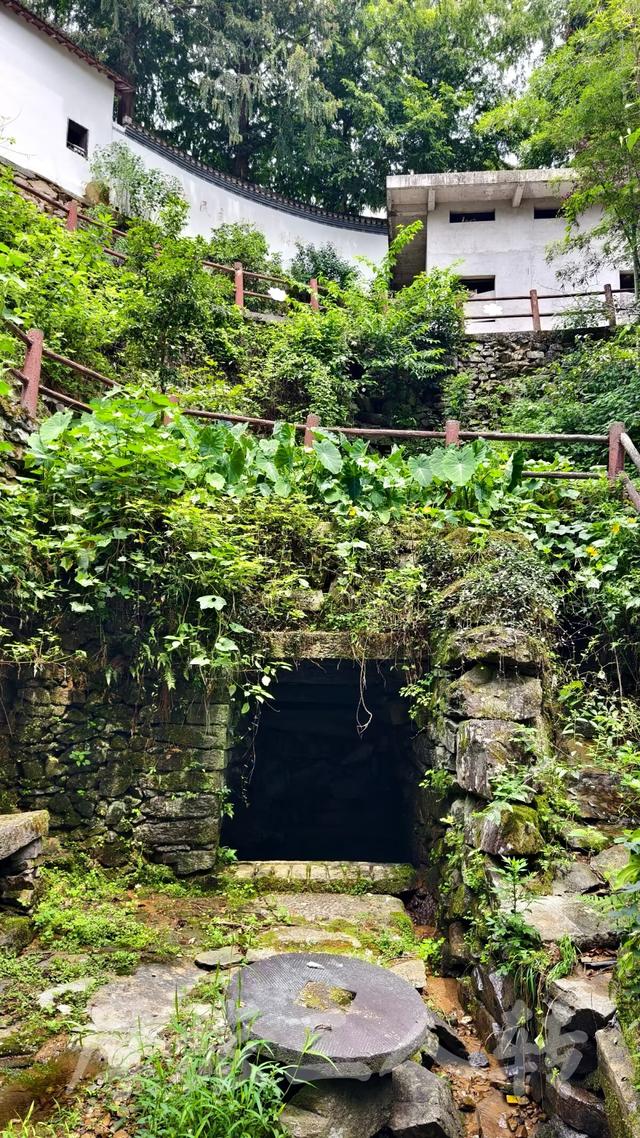 皖浙摩旅二人转——蜈蚣岭篇（下）