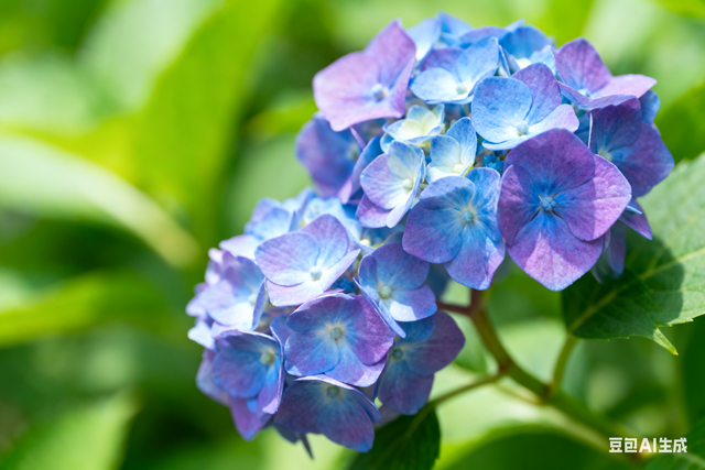 阳光的罪孽	，读《局外人》有感