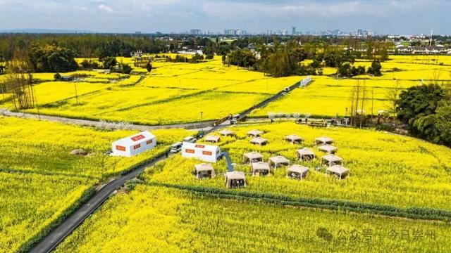 把春天煮进火锅里！崇州的花田火锅点位分布在这里↓