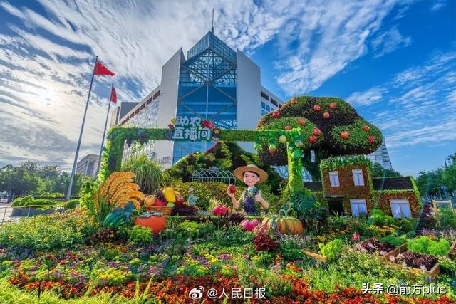 长安街沿线的主题花坛，你打卡了吗？