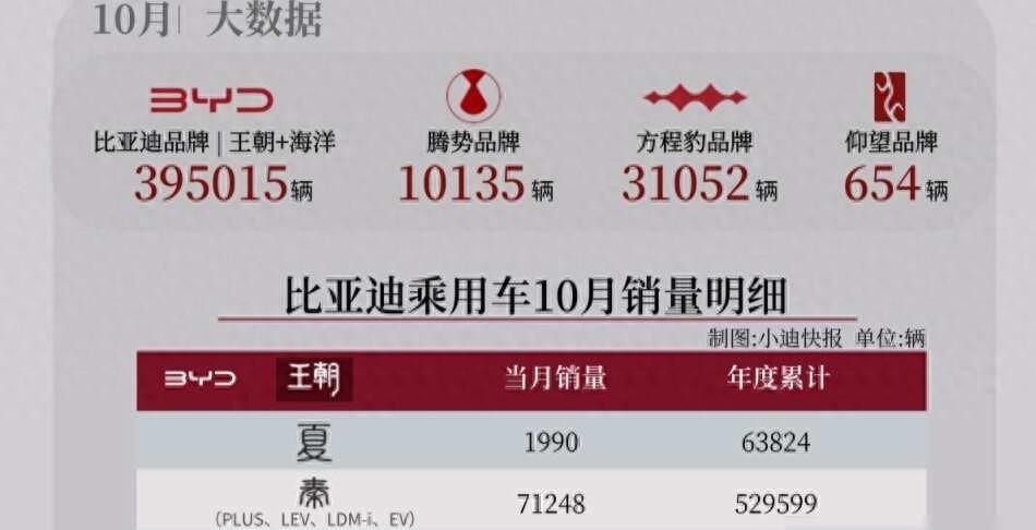 比亚迪销量分析_比亚迪海外市场拓展_比亚迪