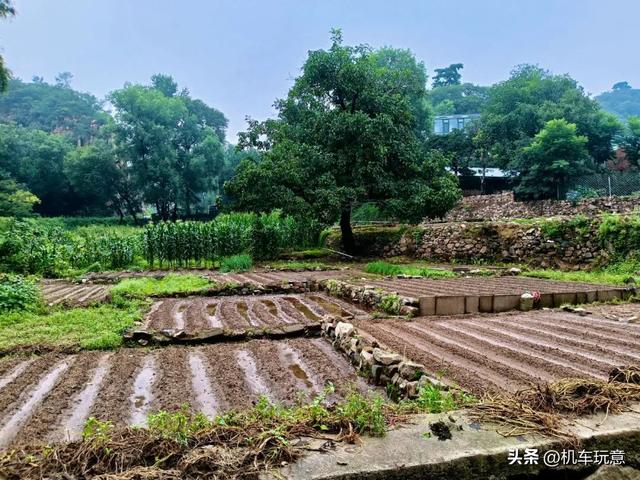 文字版【润在北京】山水林弯小山谷，溪水潺潺麻松路