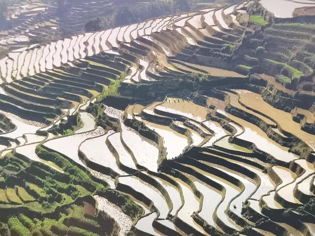 元阳梯田哈尼徽：稻作文化彝族曲 不朽诗篇底蕴谱