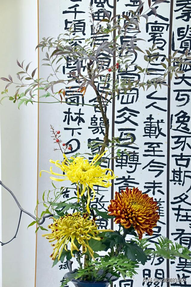 菊花是秋天里绝美的画卷