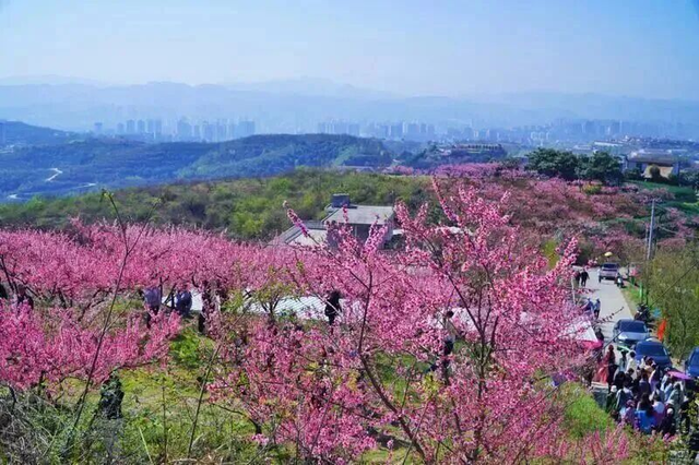 来陕西赴春约｜秦岭深处的 “粉色星球”，藏着治愈的生态秘境