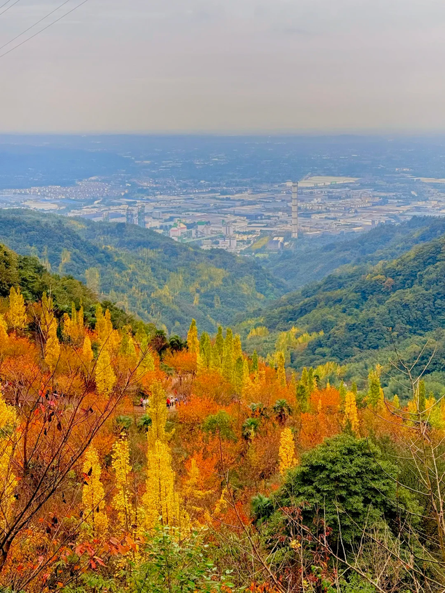 成都周边一日往返，6个小众不废腿的彩林秘境，0门票！