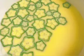 入秋后，别错过这道应季蔬菜 ，不仅营养还补钾补叶酸，老少皆宜图片