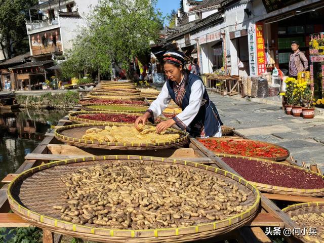 单祖英：从宜兴到澄迈，战友相伴的暖冬南行记