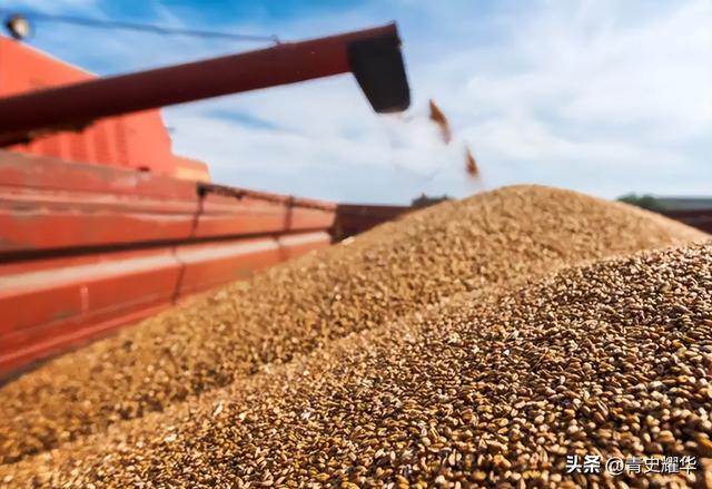 特朗普下令，要把中企一锅端，美禁令生效前	，中国取消10万吨订单