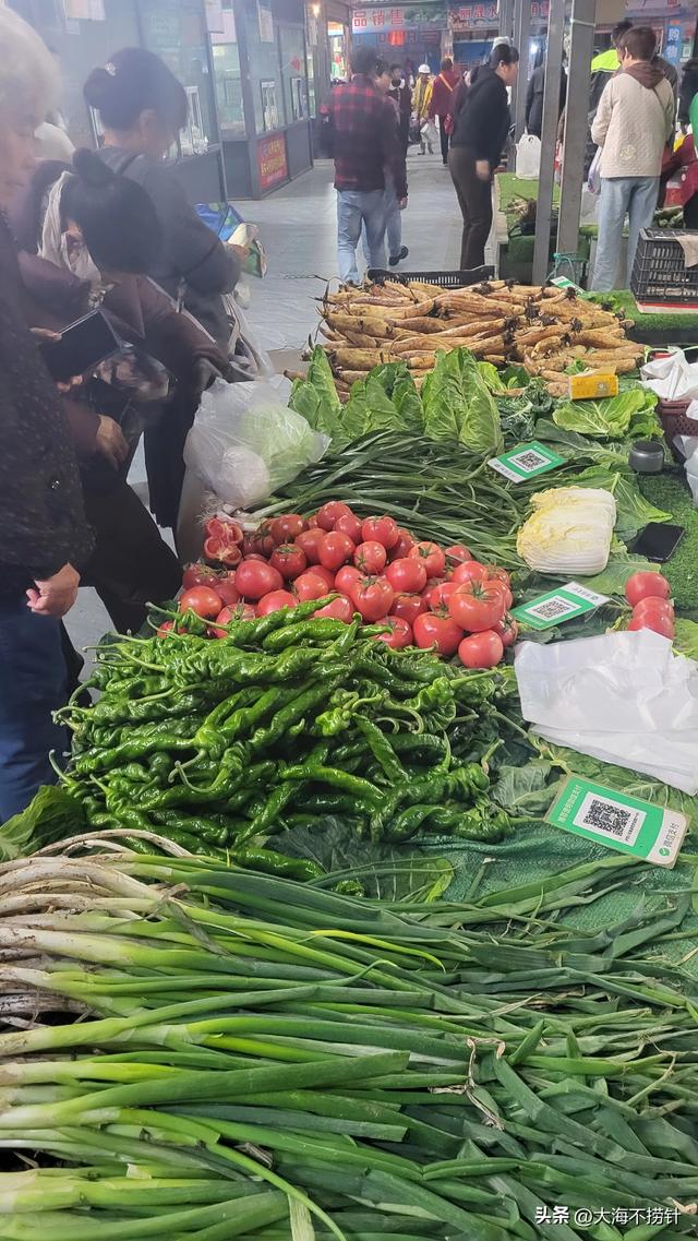 云南行·记·红河州篇之弥勒五日超短旅居——美丽悠闲宜居宜康养