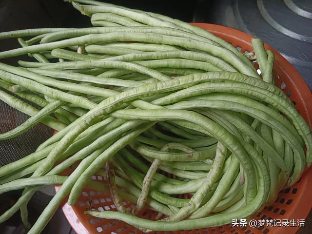 我最近热衷废墟游因为多少总会有收获,加油!我的胜利已近在眼前