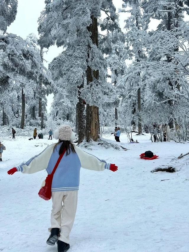 不说了，我要去四川玩雪了！