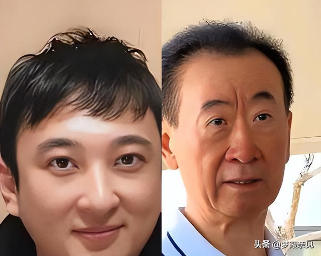 王思聪1210万被执行背后：商业版图收缩与万达隐性关联