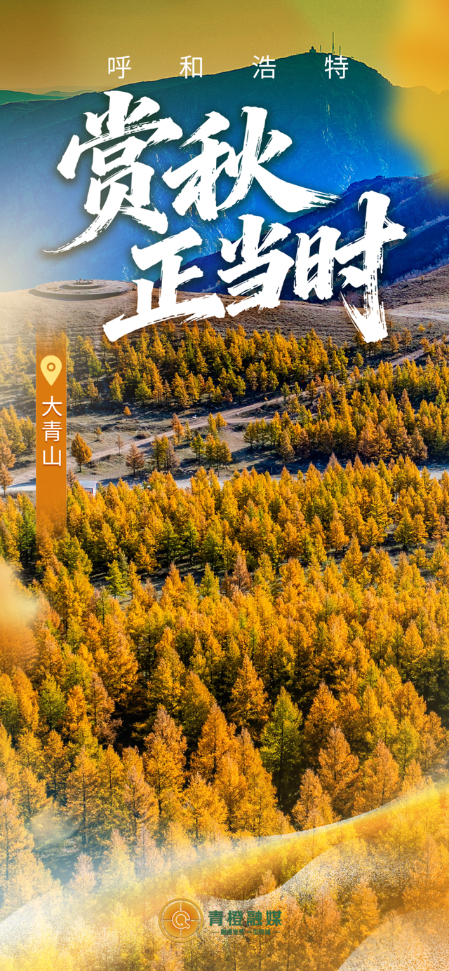呼和浩特“换装”！限定“惊喜”来了！