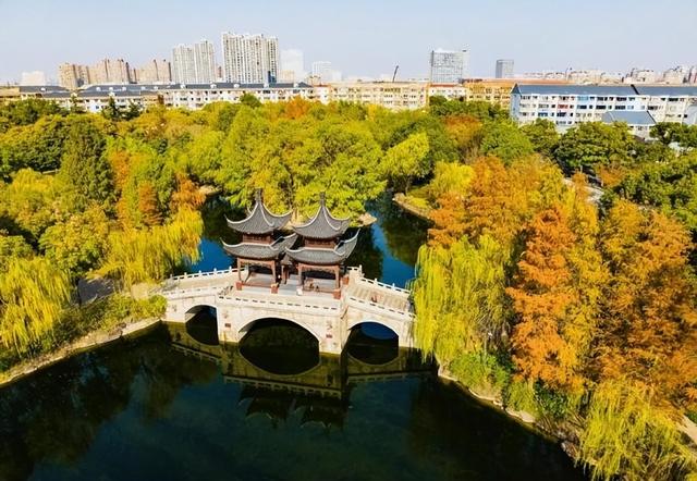 十二月暖阳拥抱着城市，古典园林披上迷人华服 我内心瞬间归于宁静