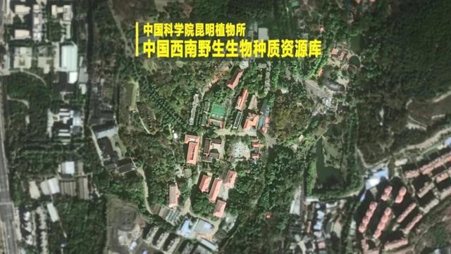 电影照进现实？中国给未来存上备份，打造野生生物的“诺亚方舟”