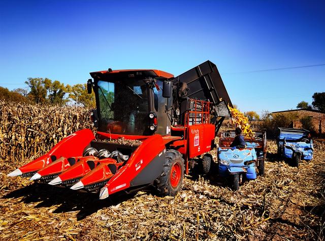 塞上秋色好“丰”景