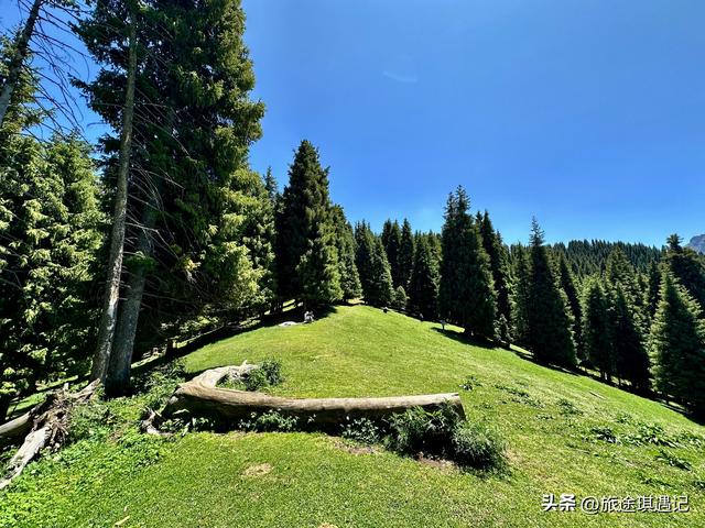 自驾北疆秘境江布拉克，雪山森林草地麦田交相辉映，媲美那拉提