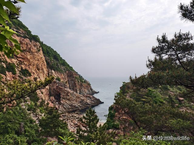 大连海之韵公园·棒槌岛