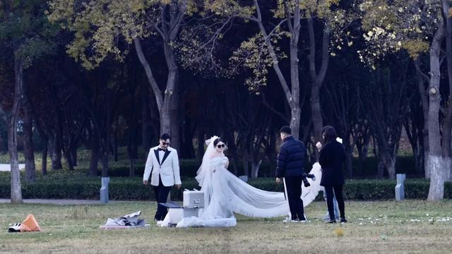 谁说初冬只有萧瑟?来太白湖新区解锁绚烂生机打卡地