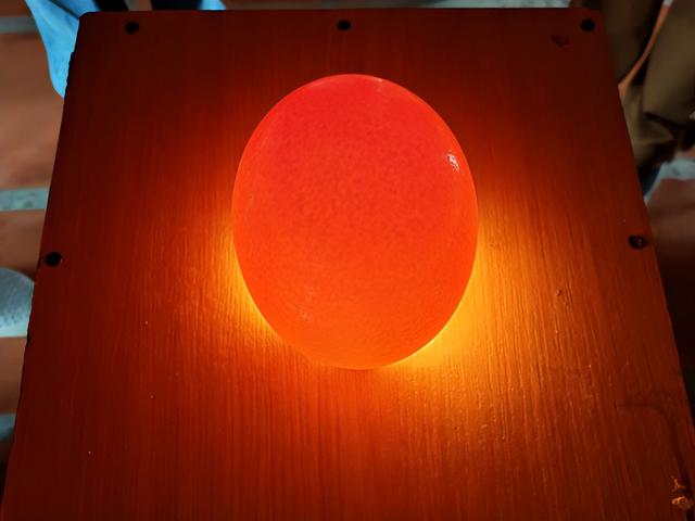 非洲旅游：难忘南非观光之旅纪行（图）