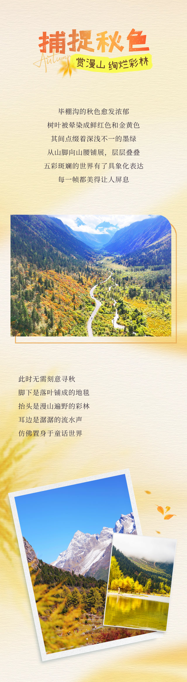 都不白来！毕棚沟秋色浓度爆表啦~