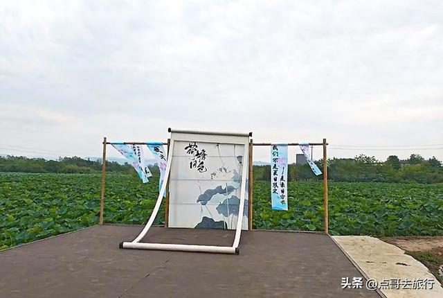 成都最近的山地荷花，人在画中超级壮观，不要门票，还可买荷花