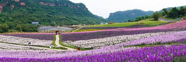 四川省纳溪区历史沿革及行政区划