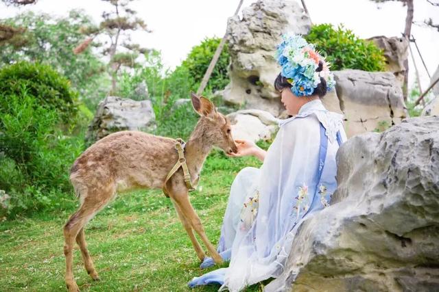 开封，你暖到我了！