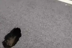 没有老鼠哪里来的洞？太可怕了！河南一新建大桥桥面出现多个黑图片