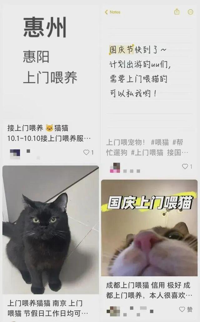 国庆最热闹的不是景点，是闲鱼：“神奇服务”火到离谱！