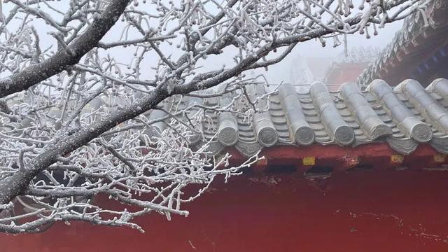 山东冬日奇观即将陆续上演，冰雪里的自然史诗等你解锁！