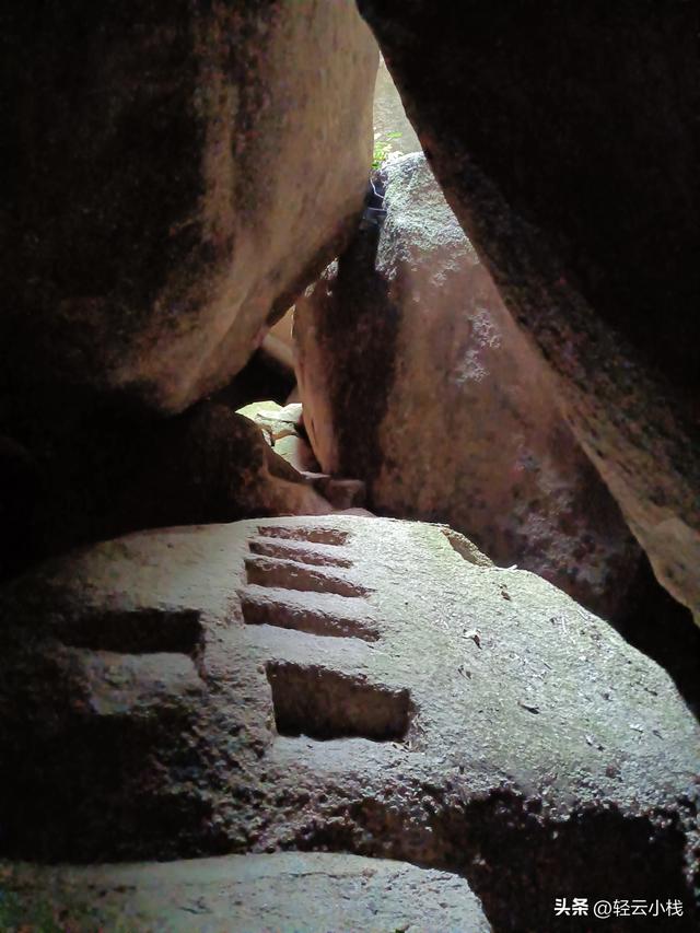 灵山石树感触到的（一）