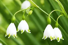 为什么普通人一生努力，依然赚不到大钱，原因有三个图片