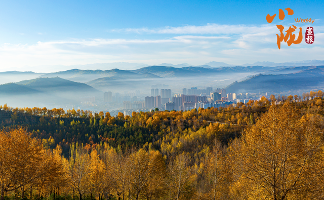 【小陇画报·428期】秋日康乐 每一步都走在金色油画里