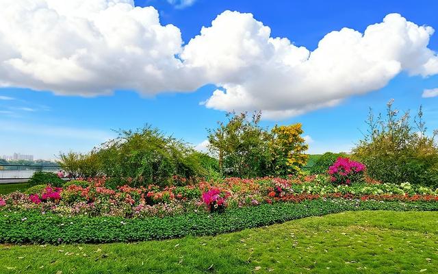 河南大反转！三门峡杀出重围郑州洛阳都没预判，凭什么火遍全国？