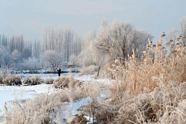 如要选一个冬季最佳拍雪景的地方，首选一定是它