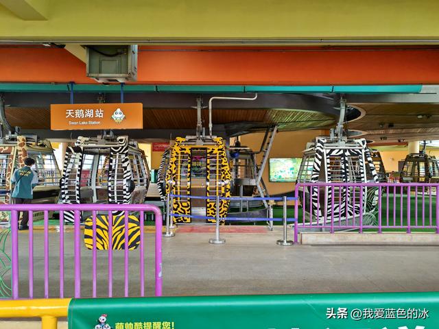 参观广州长隆野生动物园，全程感觉眼累手累腿不累