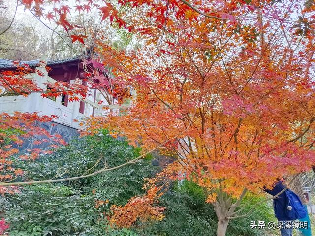 大雪时节，游汤山古猿人洞